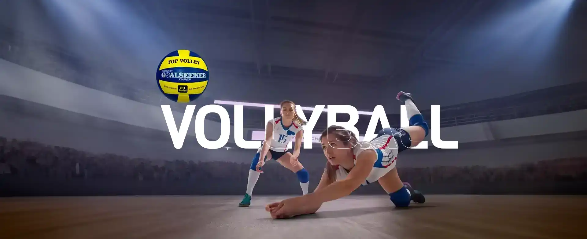 Pro Trainer Volleyball